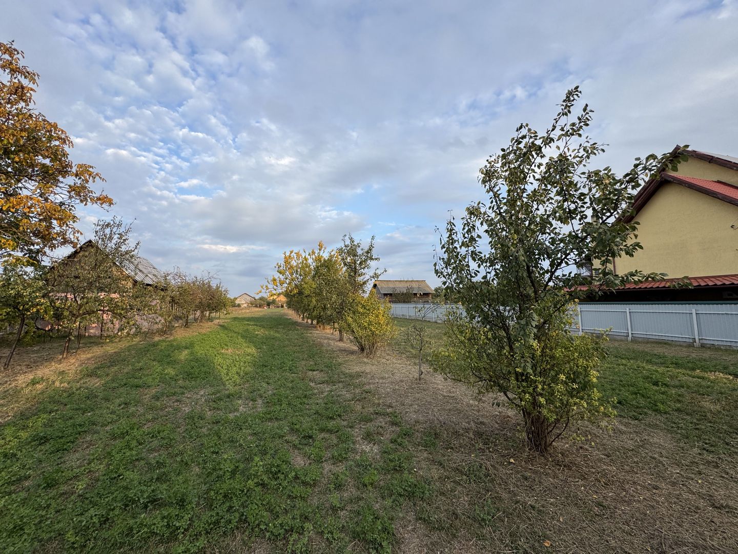 Teren Intravilan Becicherecu Mic In Vatra Satului,1104 mp,Fs. 14m - Poză 2