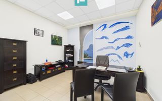 Hală industrială modernă, Șagului - Poză 11