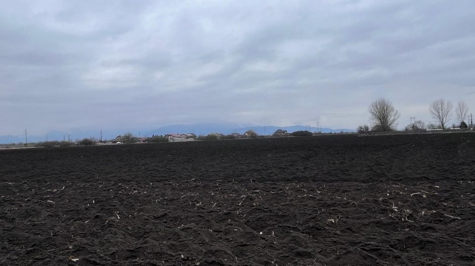 Teren 50000mp Extravilan-Intrare Halchiu-Cod 5235 - Poză 7