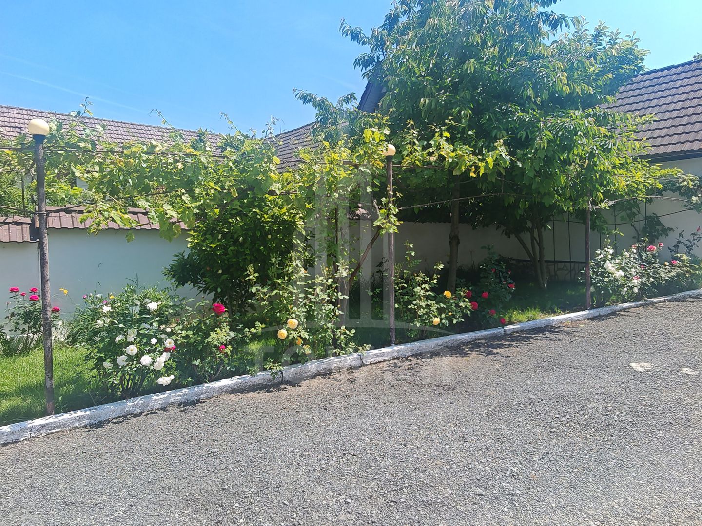 Casă săsească cu 4 camere în Turnișor – teren 518 - Poză 4