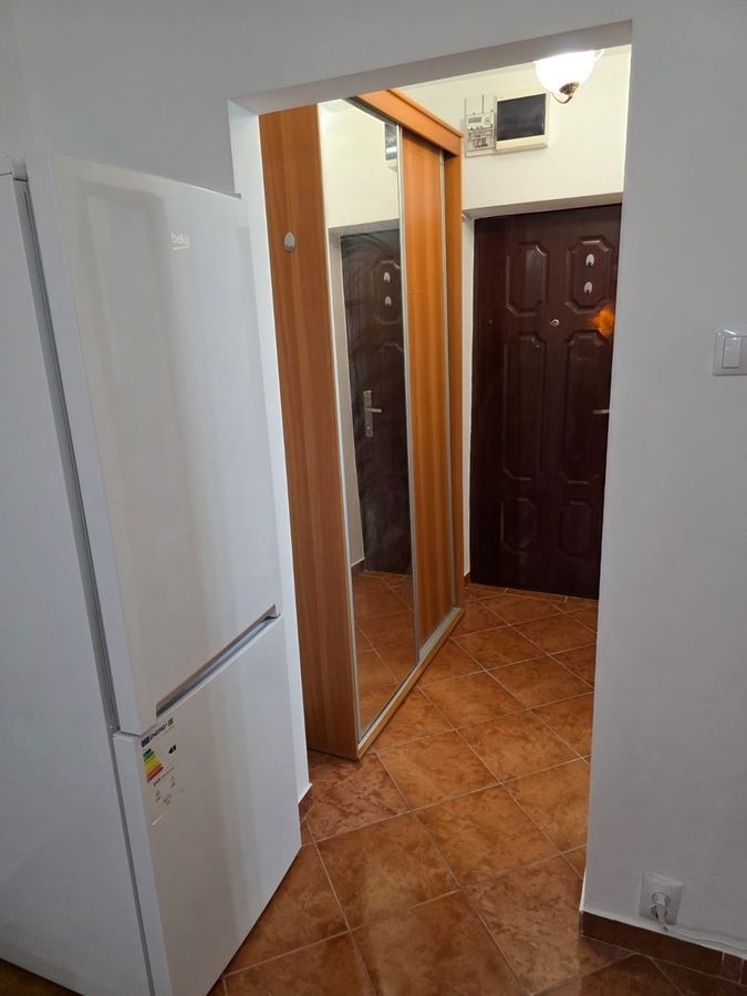 BRASADAS inchiriaza gars PARTER Mihai Bravu, Kaufland. - Poză 14