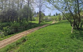 Langa emblematicul Castelul Bran, in areal colinar, 5.700mp intravilan - Poză 6
