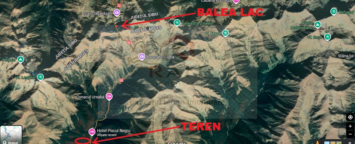TEREN EXTRAVILAN PADURE PISCUL NEGRU ARGES - Poză 6