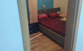 Apartament 2 camere | Calea Șagului | Etaj 1 | Zonă liniștită - Poză 3