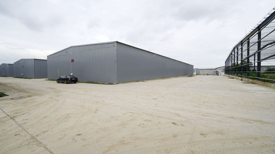 Hala Depozitare Afumati - Poză 9