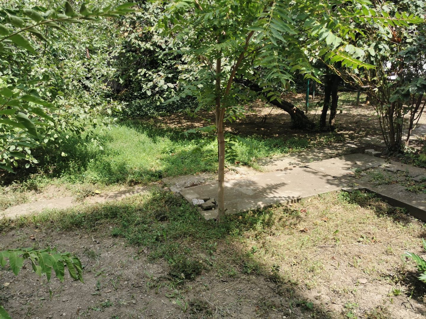 Cel mai ieftin teren central! -  strada Acvila nr 16.  -13 Septembrie - Poză 8