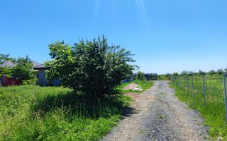 Lot pentru două case – Corbeanca Tamași - Poză 14