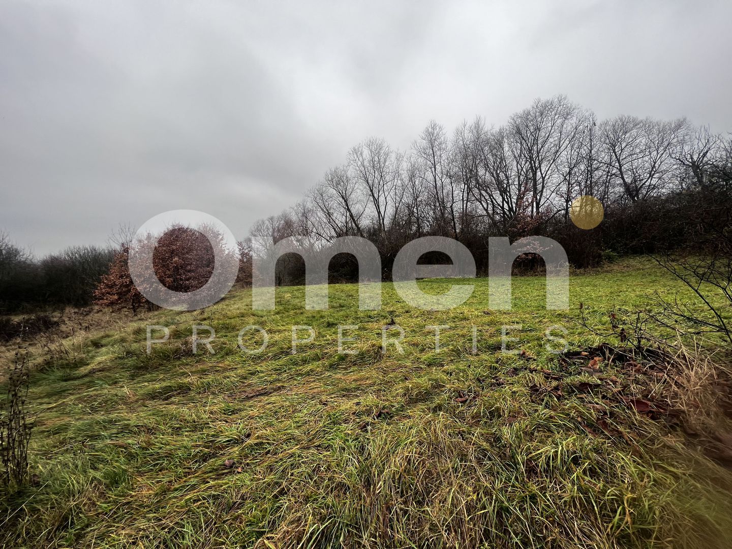 Teren intravilan | 30 ari | front stradal 50 m | investitie ideala | Mocira. - Poză 3