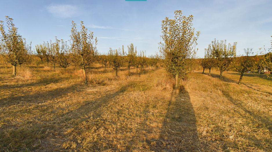 Spațiu comercial - Crama Pivnițele Birăuaș - Poză 33