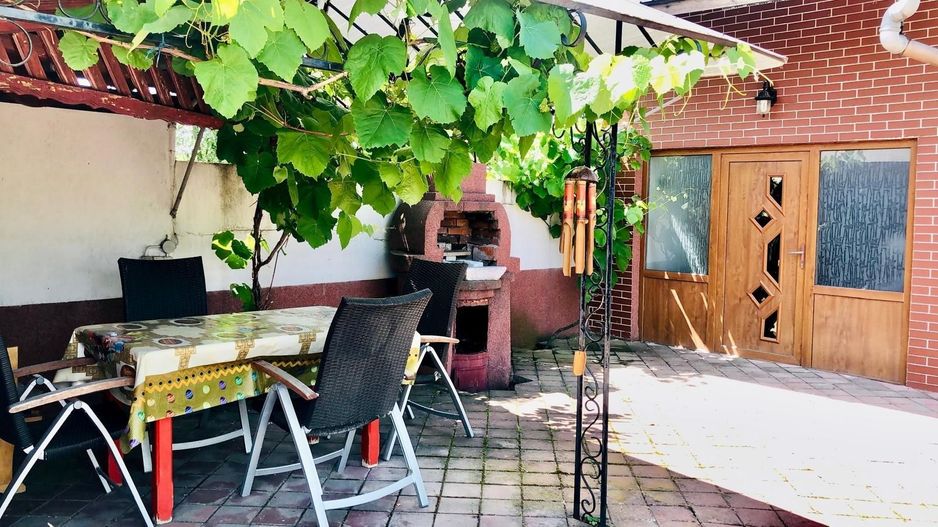 Vila Vulpesti Buzoesti - Poză 28