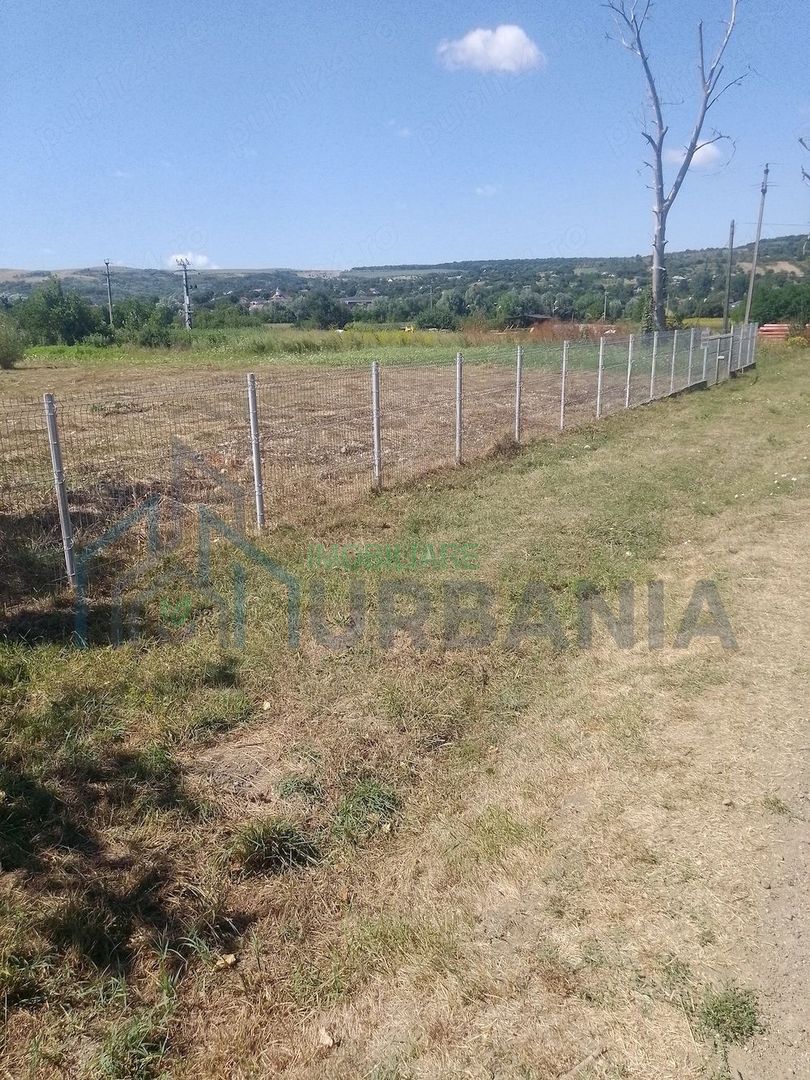 Teren intravilan 2500 mp cu deschidere de 35 m la strada principală, Dobrovăț - Poză 9