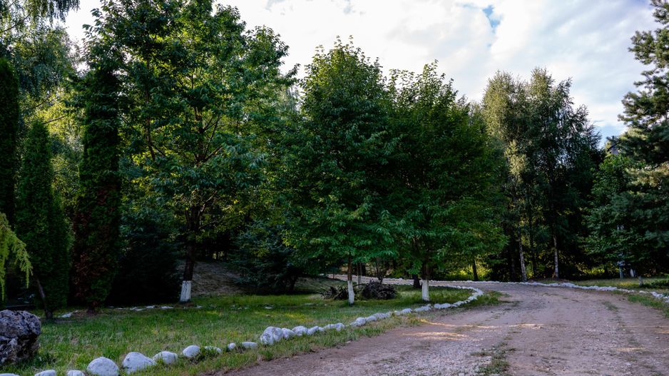 "Hanul Lupilor" | Pensiune de vânzare | Râșnov - Poză 4