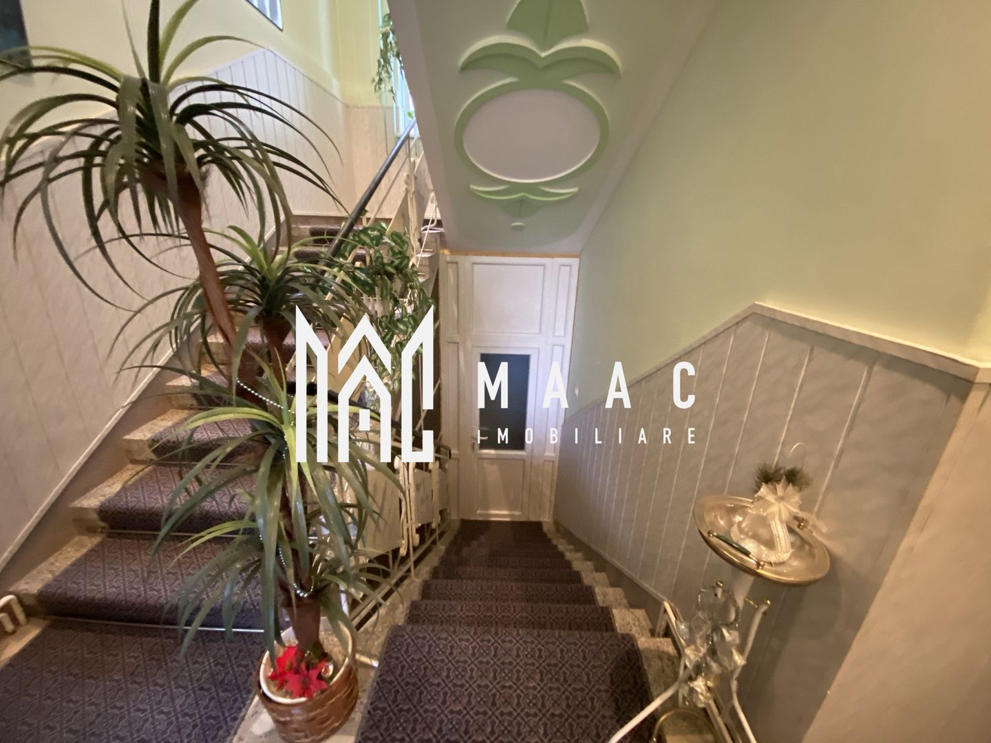 Casa individuala | Curte | Pivnita | 150 MPU | Turnisor - Poză 5