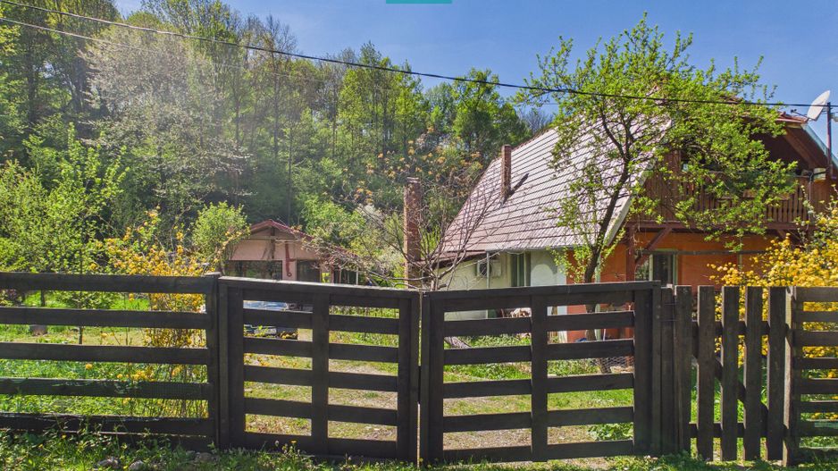 Casă Câmpani, 8000 mp teren, la poalele Apusenilor - Poză 1