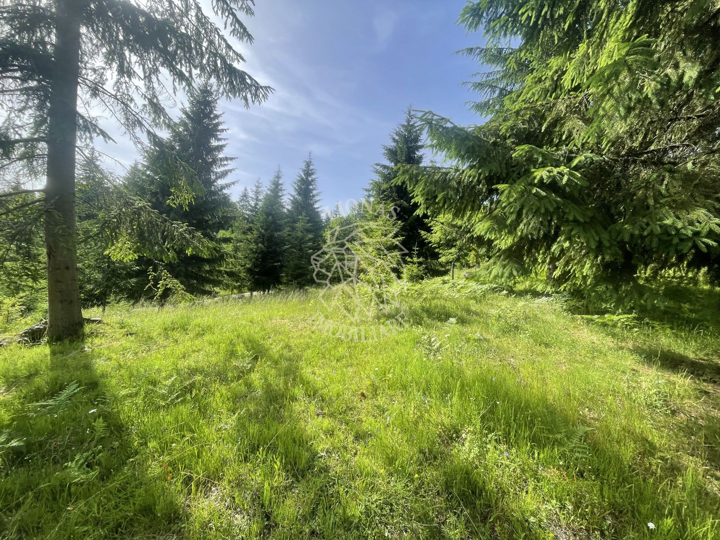 Teren intravilan 1000 mp cu utilitati-ideal cabana, pensiune-Colibita - Poză 2