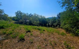 🌳 Teren intravilan 2322 mp, Păcuri – vedere superbă spre pădure! 🏡✨ - Poză 6