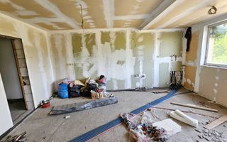 Proprietate cu potențial mixt – locuință și spațiu de lucru în Partoș - Poză 29