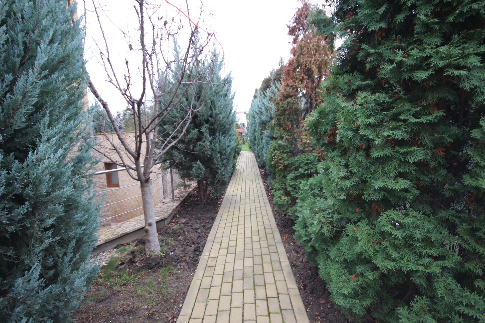 Casa pretabila birouri, camin de batrani - Poză 130