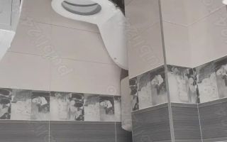 BRASADAS vinde ap 2 cam Dambu Rotund. - Poză 9