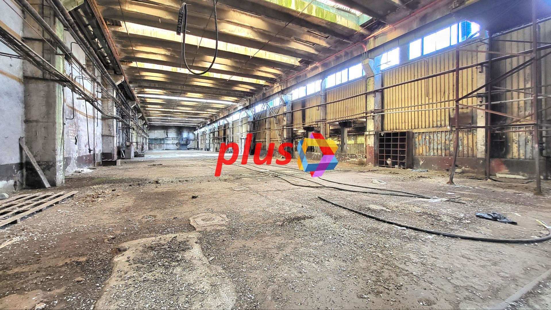 Hala - 8062 mp  # plus-imo.ro - Poză 8