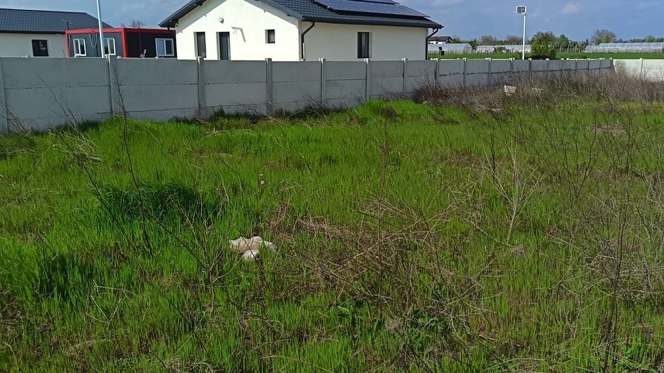 Teren de vânzare – Mihăilești | Oportunitate de investiție - Poză 12