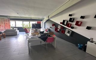 Hala depozitare /productie,Timisoara, NV - Poză 3