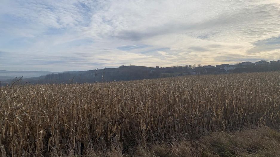 Teren intravilan de vânzare | Cajvana | 7.800 mp - Poză 2