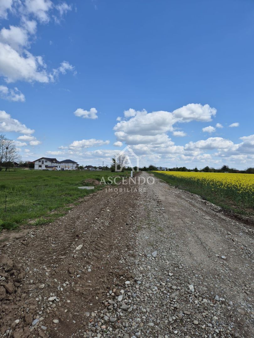 Teren intravilan 704 mp – Siliștea Snagovului | Lângă Pădurea Snagov - Poză 3