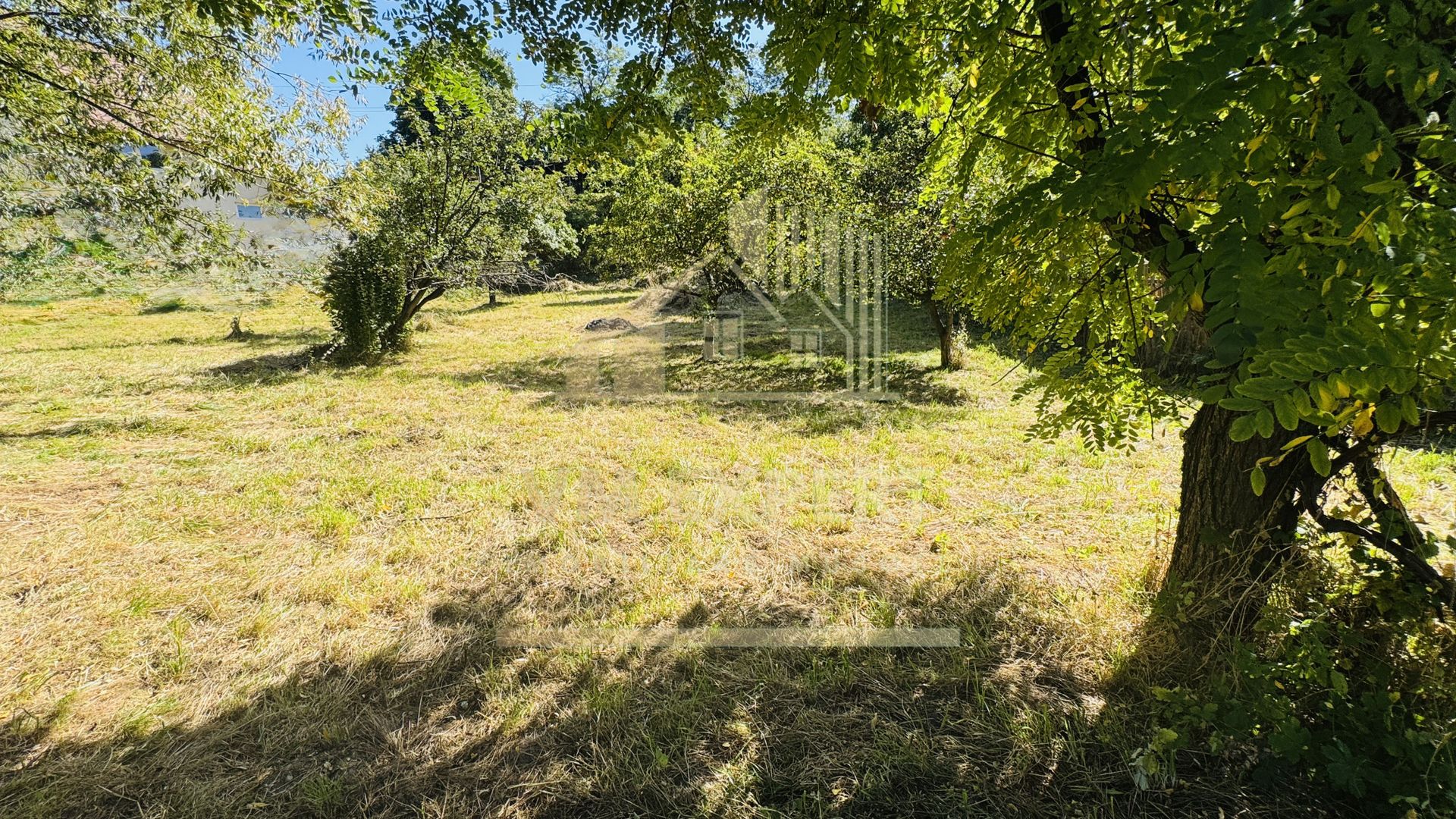 TEREN INTRAVILAN 3234 MP LEREȘTI VOINEȘTI ARGEȘ - Poză 37