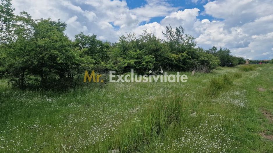 0% Comision!!! Teren intravilan Smeura - str Prunilor! - Poză 2