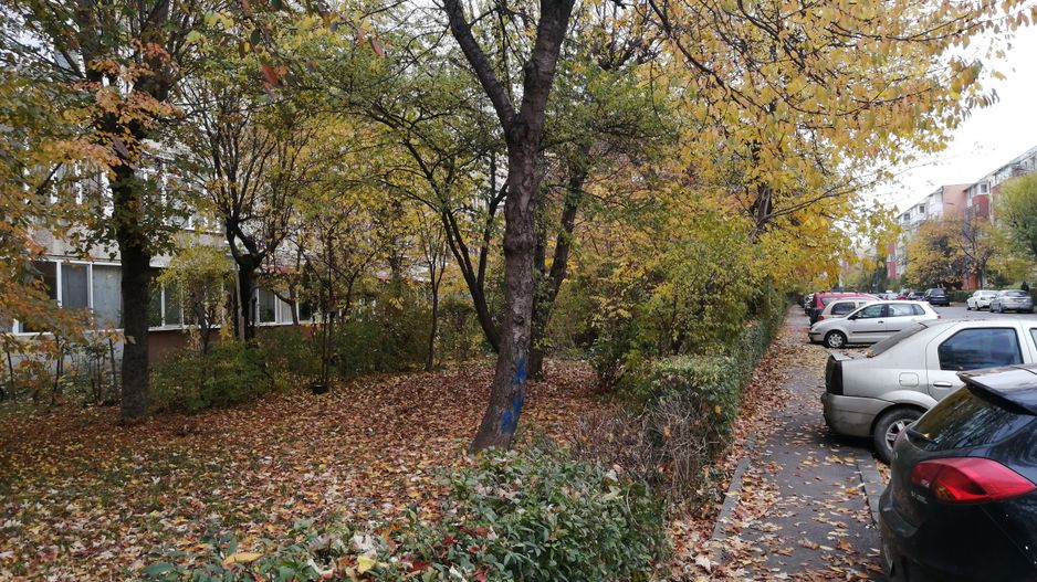 2 camere zona pietei Tractorul - Poză 16