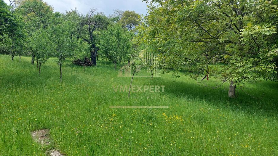 TEREN 1617 MP CAMPULUNG-MUSCEL - Poză 3