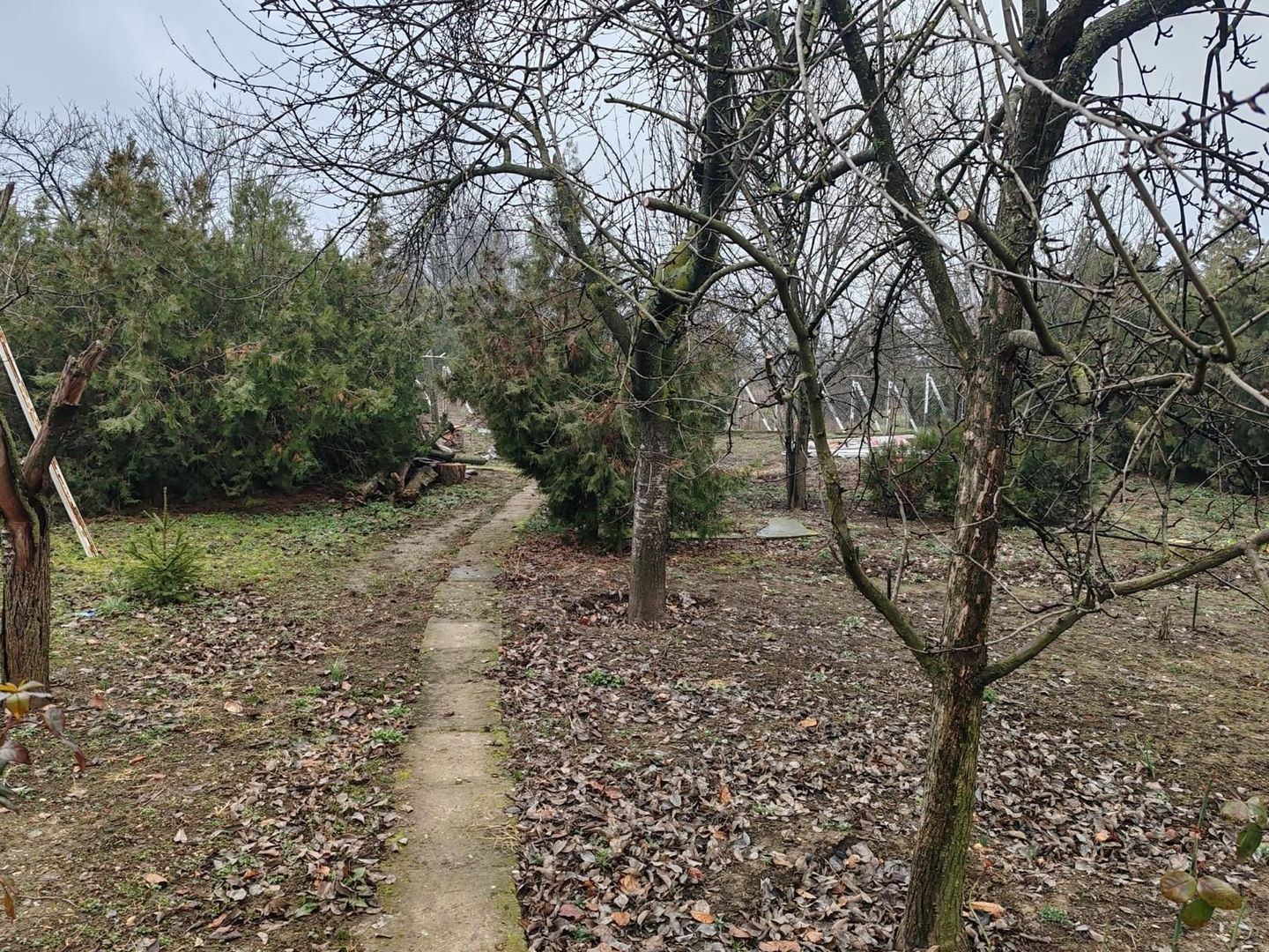 Teren 2.600 mp, utilități, Str. Merișor – Giurgiu - Poză 11