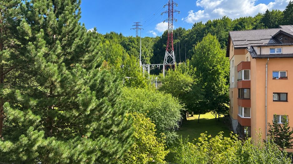 De închiriat-apartament 2 camere-Răcădău-Jepilor-0% Comision - Poză 22