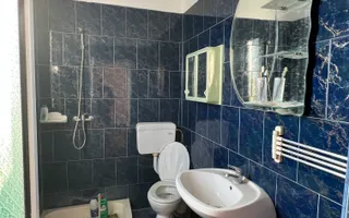 Casă de vânzare în sat Bos – oportunitate pentru locuință sau afacere - Poză 11
