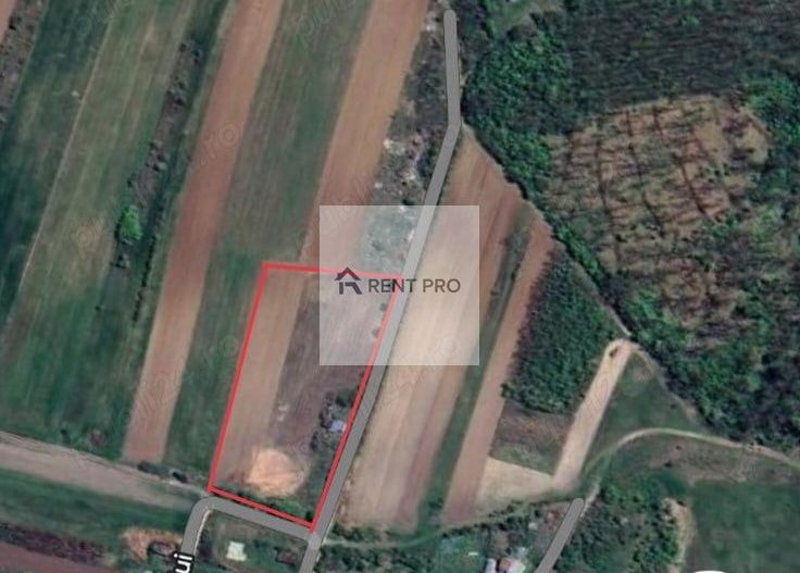 Teren de 11.000 mp cu casă și teren agricol | La 40 km de București | - Poză 14
