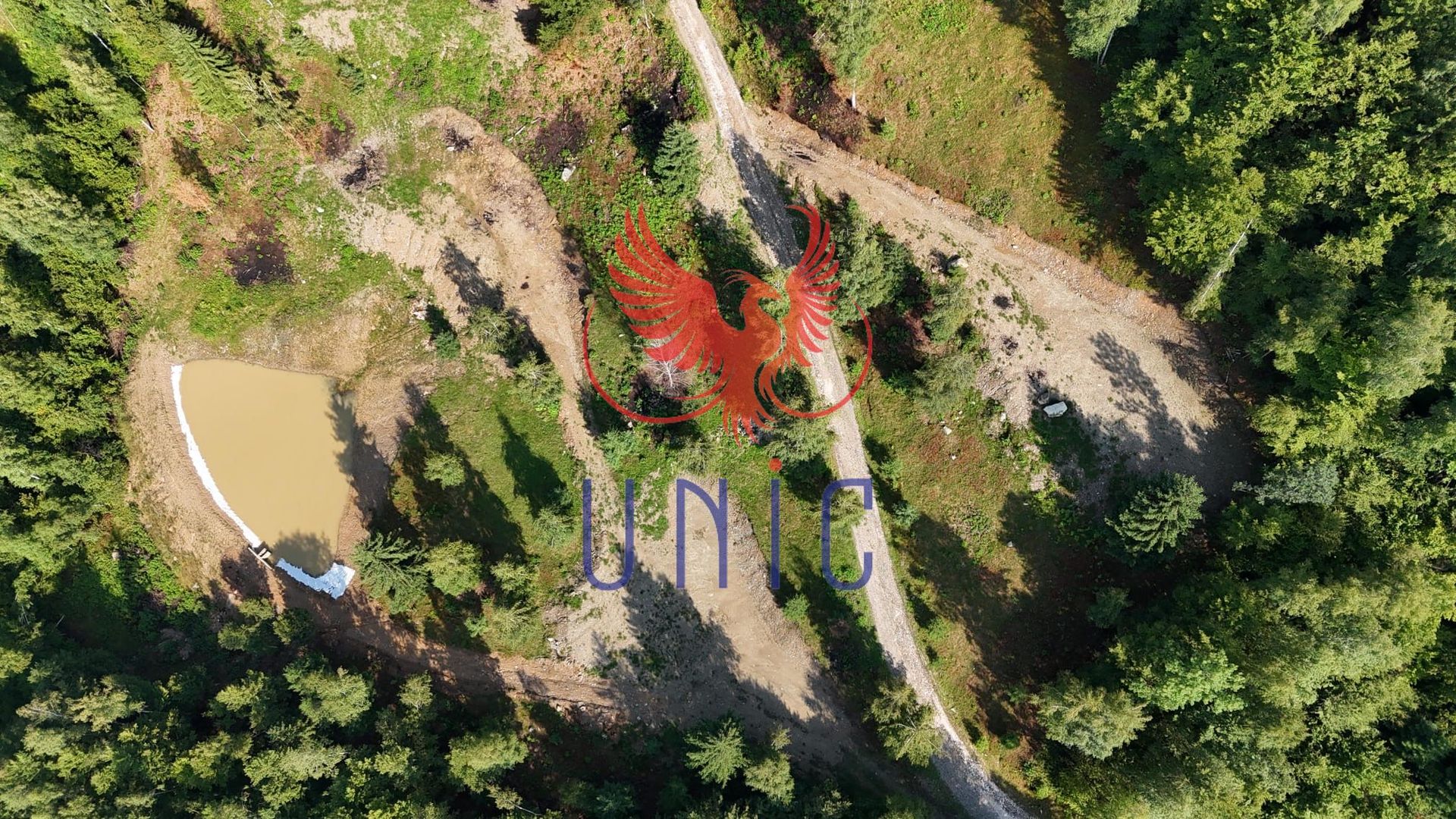 18000 mp de natura pura ,Lupeni, langa Straja - Poză 18