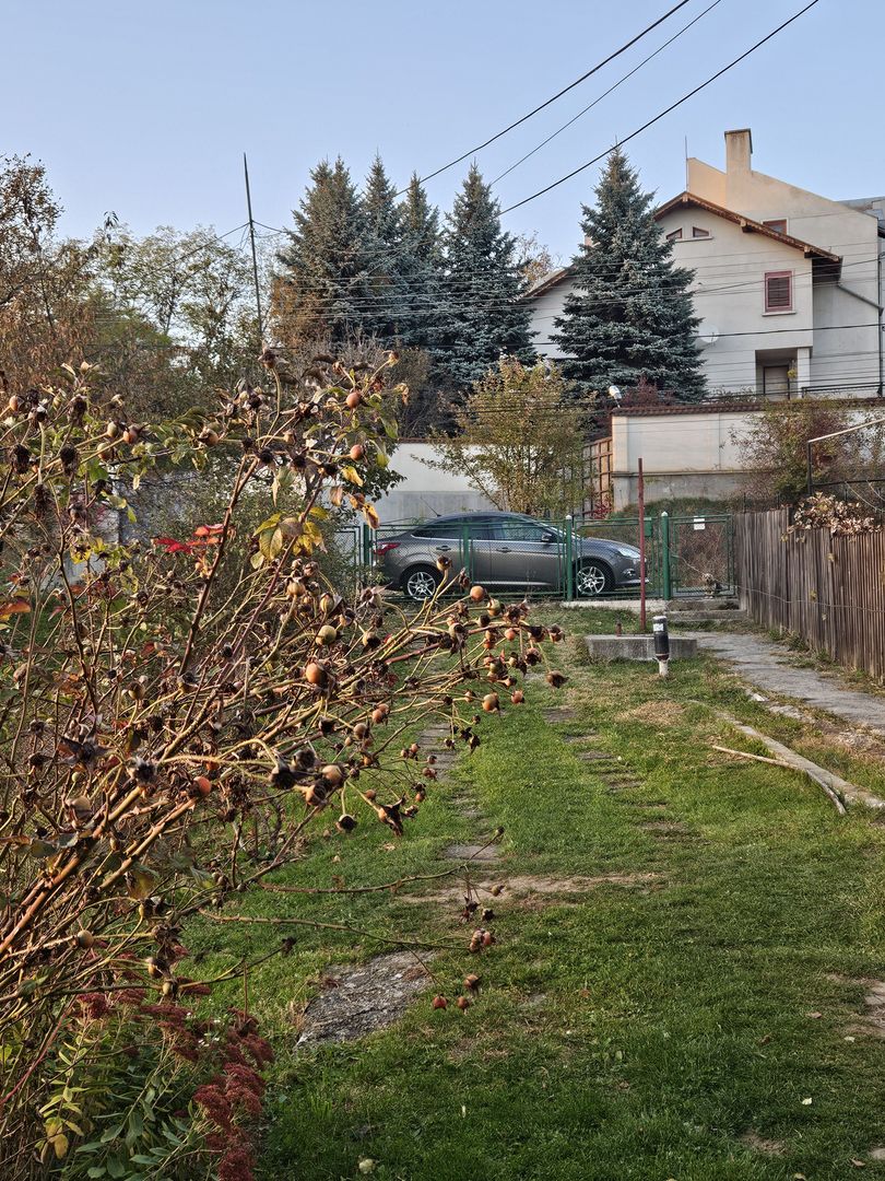 Casa 127mp mobilata/utilata+ anexa+garaj+beci+teren intravilan 1233 mp - Poză 29