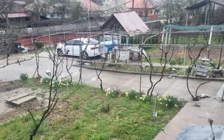 Casă P+M cu 1.558 mp teren, livadă și garaj | Barza, Gorj Comision 0%  - Poză 17