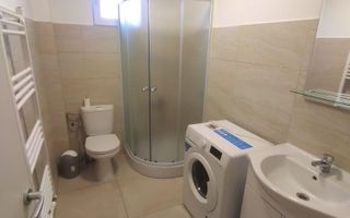 Apartament 1 camera Lunca Cetatuii - Poză 5