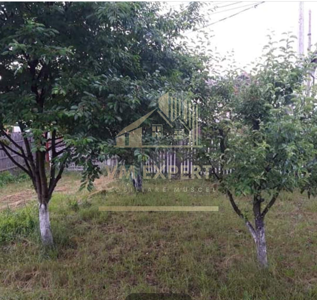 CASA 3 CAMERE, TEREN 800 MP, CAMPULUNG - Poză 5