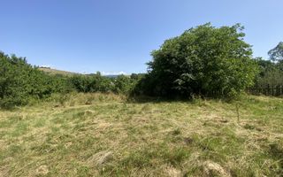 TEREN INTRAVILAN 2400 MP, ALBESTI DE MUSCEL, ARGES - Poză 1