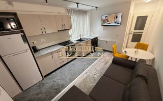 Apartament tip studio de închiriat – zona Parcul Tineretului (PROFI) - Poză 1