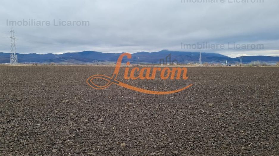 Teren extravilan 2,9 HA,intre Cristian si Vulcan - Poză 3