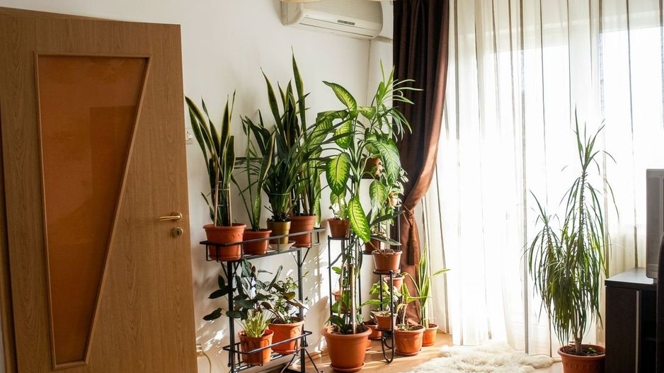 Închiriere 🏡 Apartament 2 camere, 52 mp, decomandat, lângă McDonald’s Dristor - Poză 3