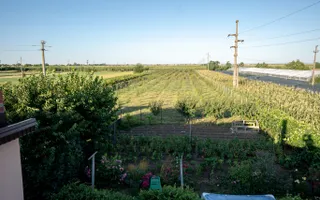 Casă de vânzare Furceni – 7 camere, teren 8.000 m - Poză 22