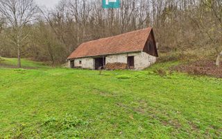 Casă cu teren de 24.679,73 mp, în Hălmagiu, Arad - Poză 13