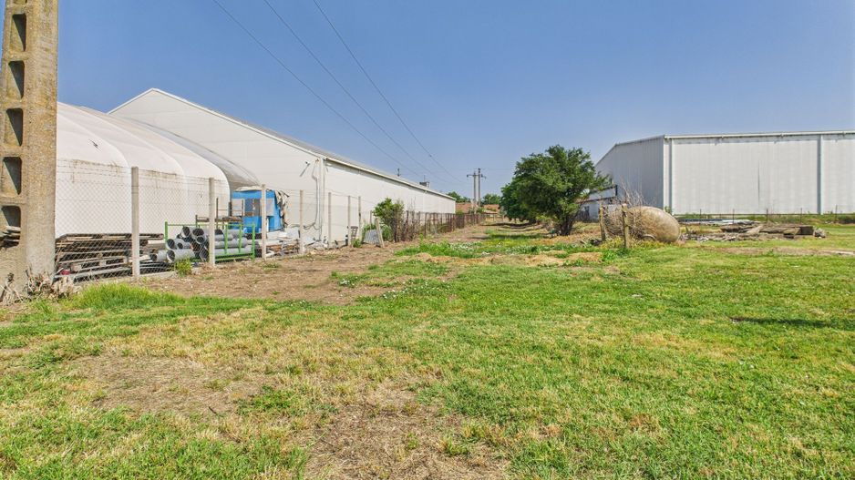 Complex industrial cu hale și teren  în Orțișoara - Poză 27