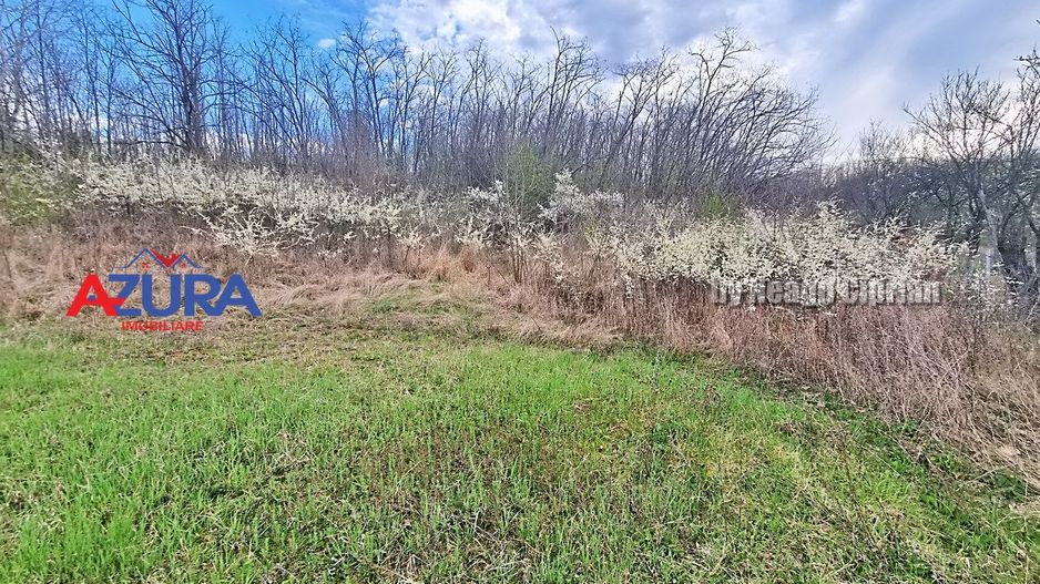 AZURA Imobiliare - Teren Babana Central Primarie - Poză 8