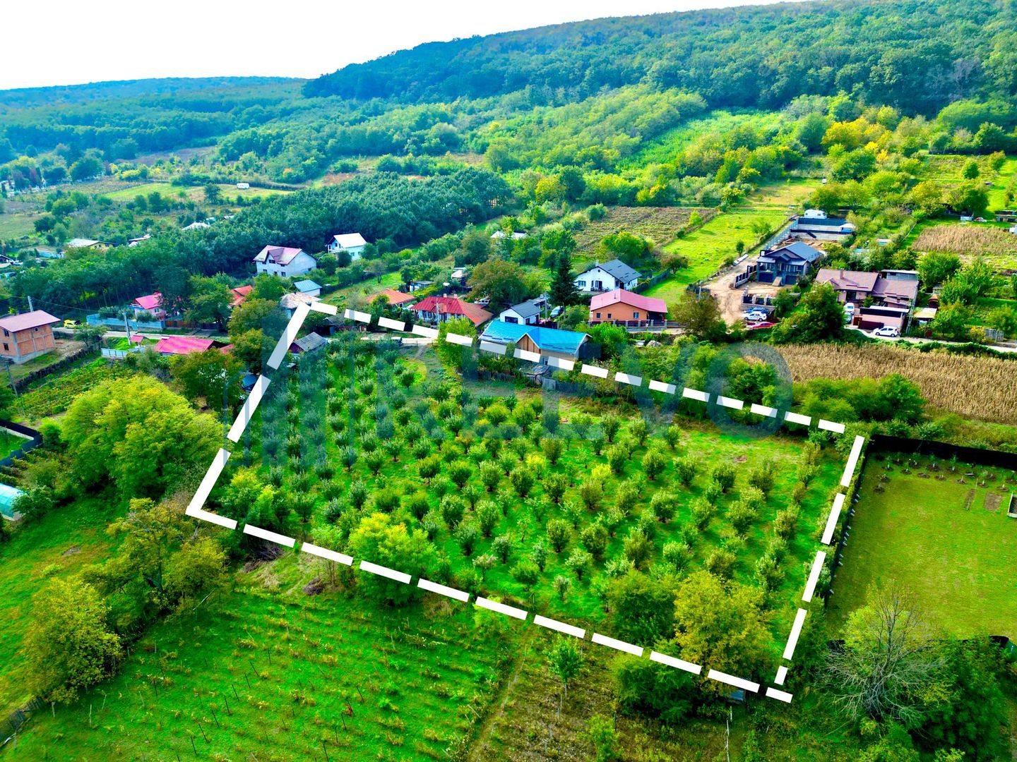 Loturi teren 1.000 mp, central, Hemeius - Poză 2